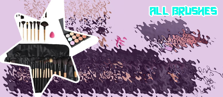 Price of makeup brushes